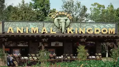 Banner Animal Kingdom