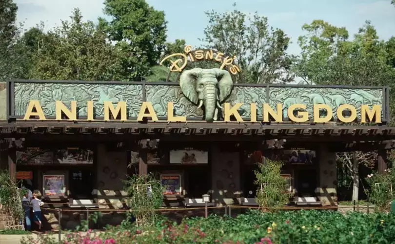 Banner Animal Kingdom