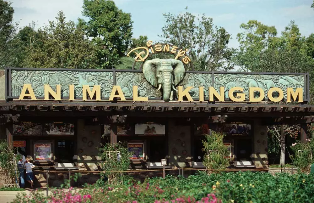 Banner Animal Kingdom